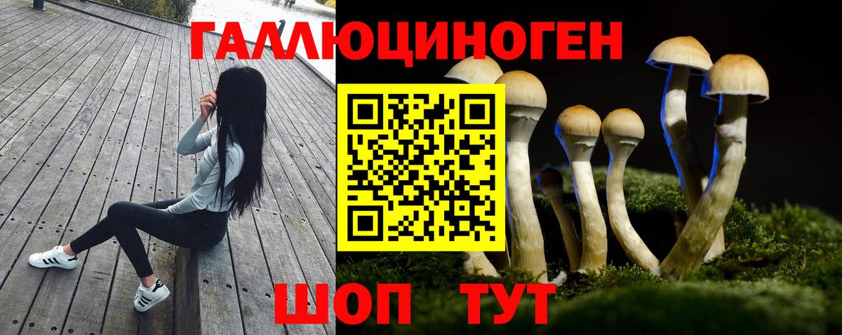 дарнет шоп  Галлюциногенные грибы прущие грибы  Вичуга  Вход с VPN  Псилоцибиновые грибы Cubensis 