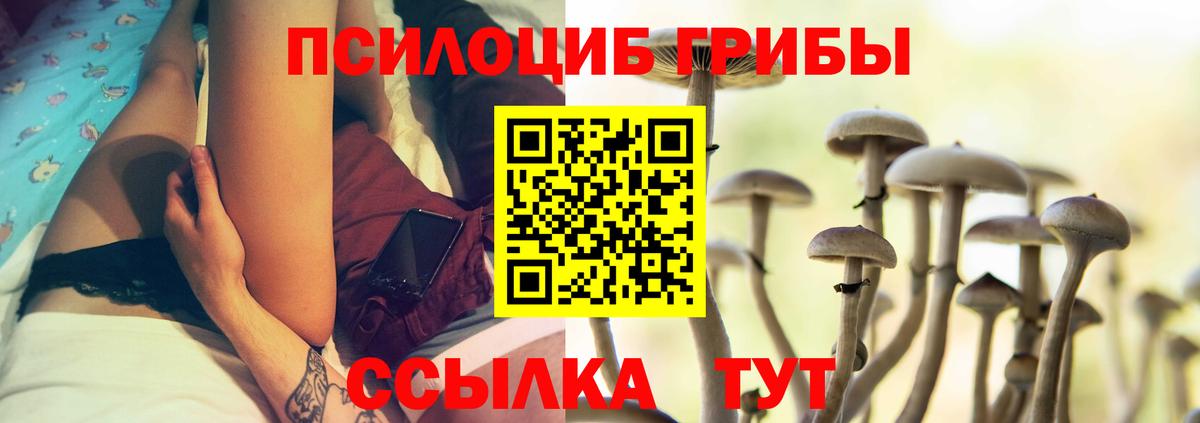 Галлюциногенные грибы MAGIC MUSHROOMS Вичуга